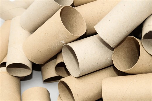 Woman shares creative way to use old toilet paper rolls to help animals: 'Love this idea'