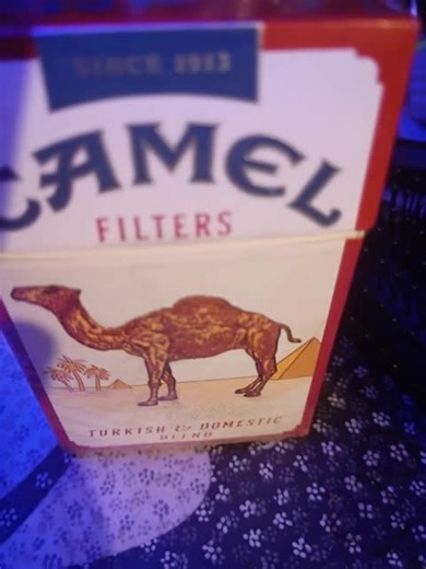 ###❤️❤️ #❤️❤️ just me Tammy AI is the funniest thing to me