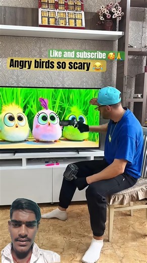 Funny angry birds 🐦 #angrybirds