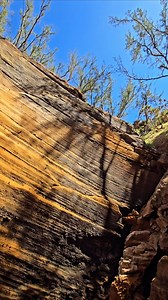 La Réunion 🥰💥🇷🇪 Plage, montagne, volcan, falaise, forêt, cascade, coucher de soleil, ... une île aux multiples ambiances ✨️🌴 | Guide Réunion