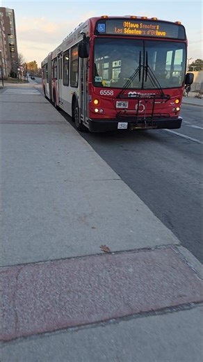 Ottawa OC Transpo New Flyer D60LFR articulated bus