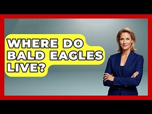 Where Do Bald Eagles Live? - Bird Watching Diaries