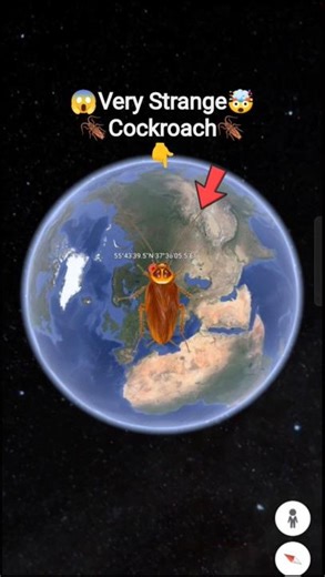 Very Strange Cockroach 🪳🤯 on Google maps and google earth 🌍 #shorts #cockroach #video_creator_earth