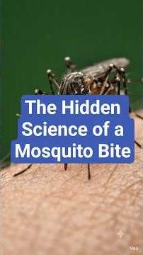 What Really Happens Inside Your Body After a Mosquito Bite? #3danimation #humanbody #facts #science