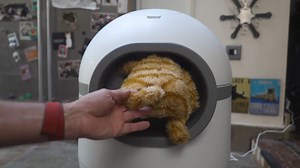 'This automatic litter box is KILLING cats!': Cat owners sound alarm after multiple feline fatalities linked to self-cleaning litter box