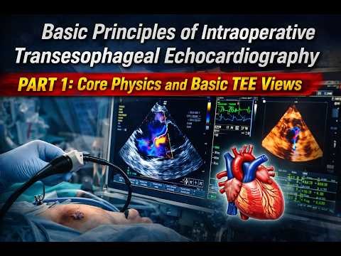 112🧭 [TEE Review 1] Principles of Periop. Transesophageal Echocardiography🎯Physics & Basic Views 🫀