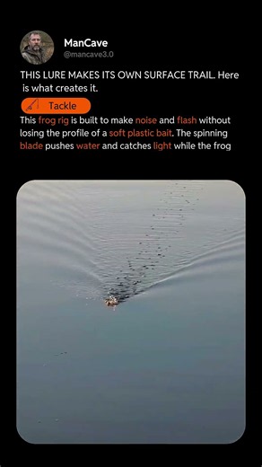 THE ULTIMATE TOPWATER FROG