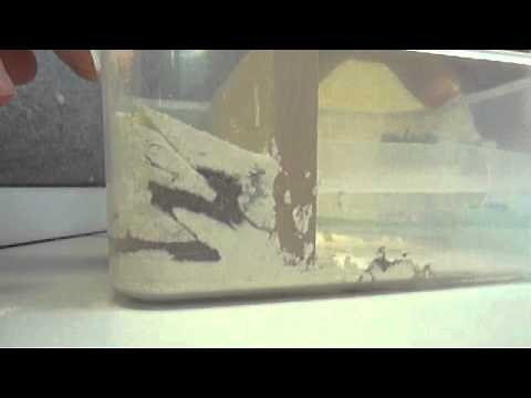 Modélisation de failles