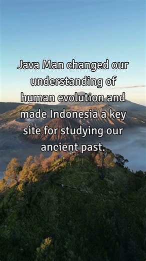 Indonesia’s Java Man: Unlocking Human History #JavaMan #history #shorts #viral #trending #indonesia
