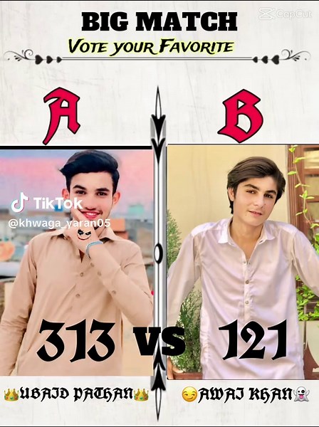 Exciting Match: 313 vs 121 Highlights