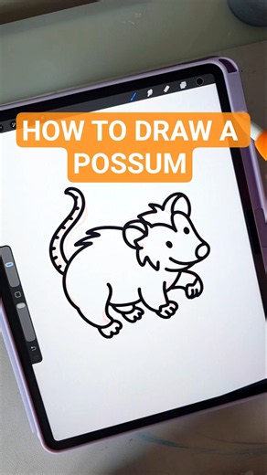 Easy doodles for beginners: how to draw a possum🧡#digitaldoodles #easyart #artforbeginners