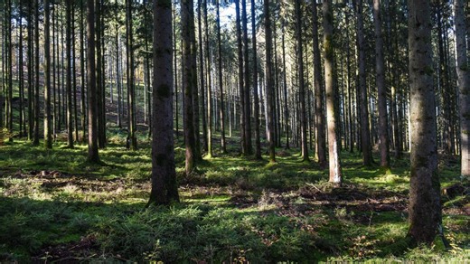 Des températures en hausse en Belgique : voici les prévisions météo des prochains jours