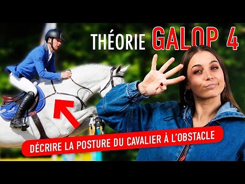 THEORIE DU GALOP 4, on révise et explique le programme et on fait un quizz - DWH 2.0 🌻
