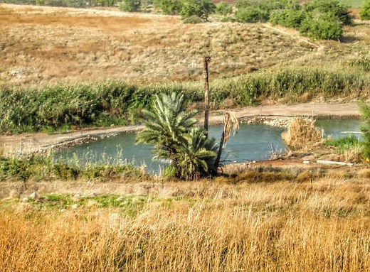 ‘Aenon near Salim’ Baptism Site | Danny The Digger