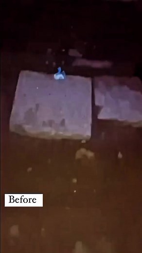 6K views · 645 reactions | donation platform - 9667016057(gpay/paytm/phonepe) account no. 50200079471040 ifsc code -HDFC0001408account holder name - STREET WORLDZ TRUST | Jagriti709 | Facebook