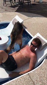 799K views · 24K reactions | Relaxing in my pool with my German Shepherd like... video by Rochelle Buskirk | The German Shepherd Dog Community | Facebook