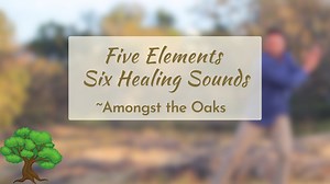 5 Elements, 6 Sounds Amongst the Oaks (38 mins) - Long Practices (all routines over 15 mins) - Qi Gong for Vitality