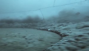 The Sheer Devastation From Fishing Trawlers Is Unimaginably Sad