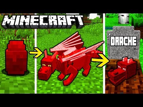 DRACHEN LEBENSZYKLUS in Minecraft - Vom Ei bis zum Monster!