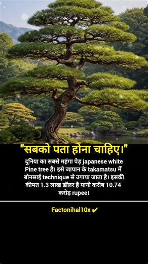 best success business motivation #success #viral #motivation #jayakishori