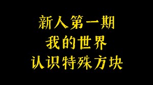 新人第一期，我的世界认识特殊方块