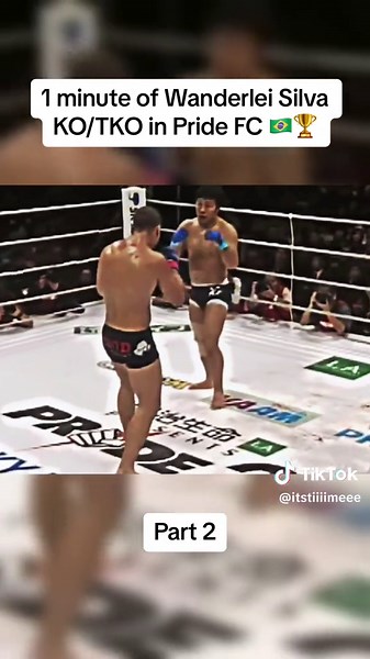 Wanderlei Silva Pride FC Knockout Highlights