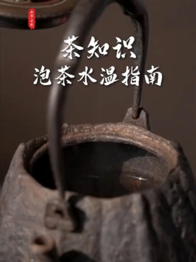 除了茶叶本身，水温正是决定茶汤命运的“关键先生”。差之毫厘，谬以千里。今天就用最简单的大白话，帮你分清嫩茶和老茶的水温区别，从此告别“糟蹋”好茶！ #中国#生活 #宜兴紫砂壶 #茶葉#紫砂壺 #teapot #喝茶 #陶瓷藝術