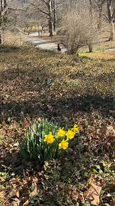 68K views · 4.2K reactions | Is this it? Could it really be? The...