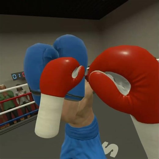 Thrill Of The Fight. Training to Reality — VR Boxing