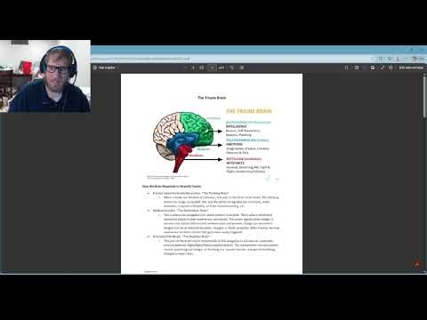 The Triune Brain: What is it and How Does it Relate to Trauma?