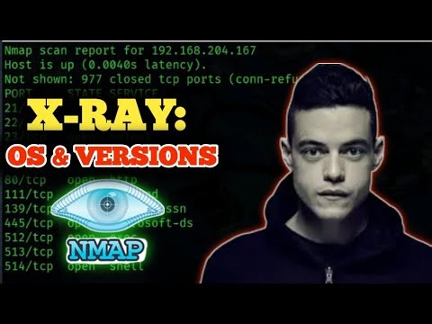 Part 7 — Version Detection & OS Fingerprinting: -sV & -O