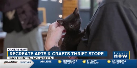 ReCreate and Always and Furever: two businesses providing second chances
