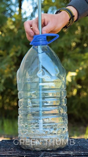 Gardening made simple with these hacks 🌱💡