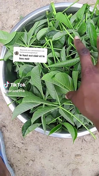 Réponse à @tonimontanagbobad tiktok Togo#Viral #vues #fypppp @