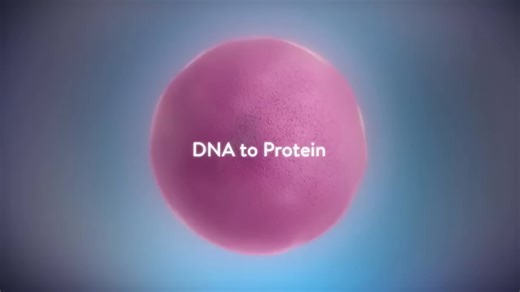 油管搬运：Protein synthesis animation 蛋白质合成