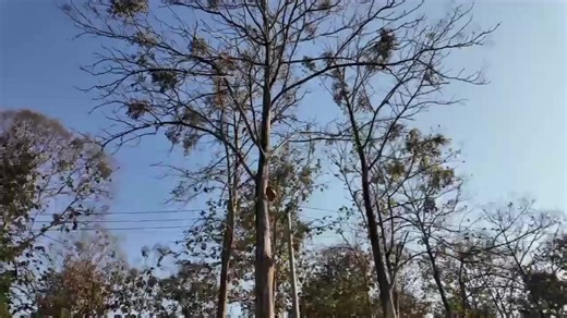 Enhancing Workplace Efficiency Through Integrated Learning