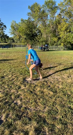 Blast from the past when we played with some agility at the dog park when we lived in South Dakota! Beauty, brains, AND athleticism. Our sweet Winnie has it all. ♥️ #intelligence #beauty #miniaussie #sweetheart #redtri #sodak | Mid-Plains Mini Aussies