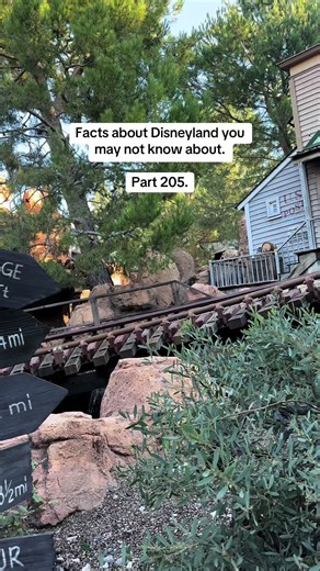 Facts about Disneyland you may not know about. Part 205 #disneyland #70thanniversary #fyp