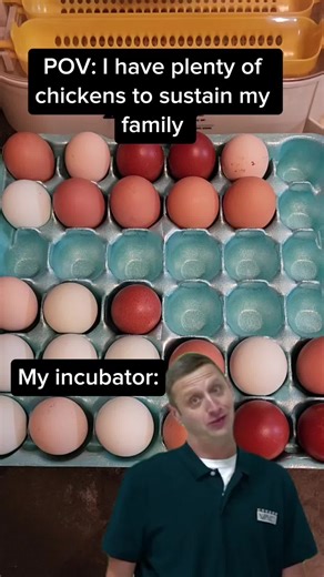 A Loaded Question About Backyard Chickens