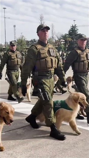 Escalón #carabinerosdechile #bandaschilenas #paradamilitar #paradamilitar2025 #carabineros #chile