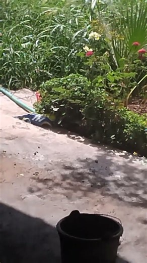 Perfect Floor Leveling Transformation ✨ | #Shorts