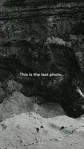 They’re extinct in the wild | The Last Photo of the Barbary Lion by...
