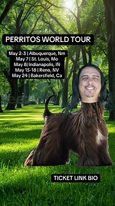 84K views · 1.3K reactions | Albuquerque this weekend. Ticket link in bio! | Concrete | Facebook