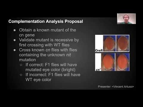 Final Fly Lab Presentation