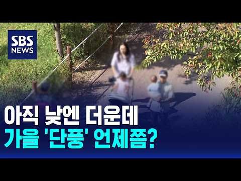 아직 낮엔 더운데..가을 '단풍' 언제쯤? / SBS 모닝와이드 2부