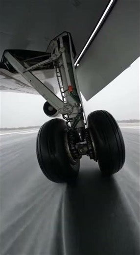Landing Gear and Wing Ripple During Slushy Touchdown