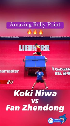 🔥Amazing Rally Point🏓 Koki Niwa VS Fan Zhendong #Kokiniwa #fanzhendong #highlight #bóngbàn #卓球 #탁구 #乒乓球 | Chonburi Table Tennis by ปิงปอง Sornanan ชลบุรี