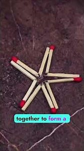 You Won’t Believe These Simple Science Hacks! (USA STEM Guide)#ScienceExperiments #USA#JustHackify