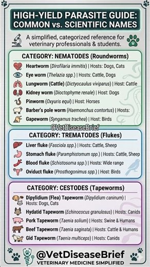 Mastering Nematodes, Trematodes & Cestodes in few Seconds! 🐾