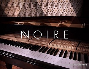 Native Instruments Noire v1.2.1 KONTAKT